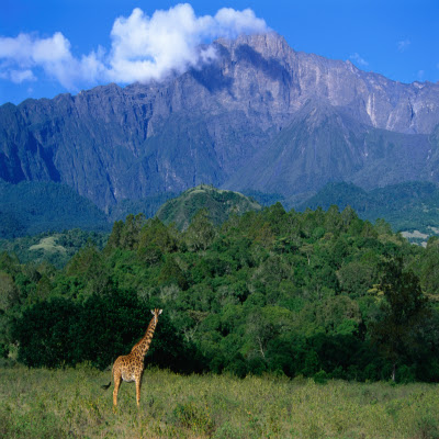 Arusha National Park – Happy Kilimanjaro Adventure