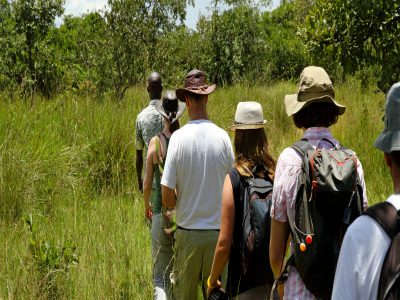 Happy Kilimanjaro Adventure